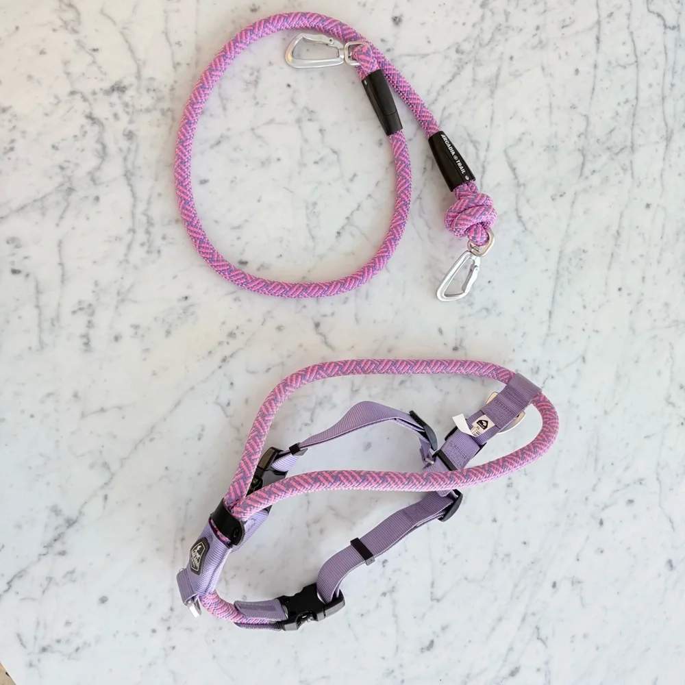 Arcadia Trail rope dog harness and leash in pink and purple